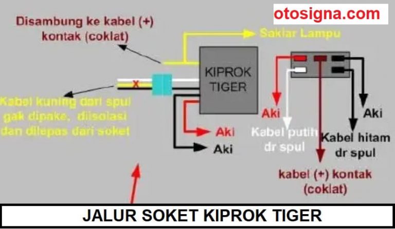 Jalur Kiprok Minerva Skema Diagram